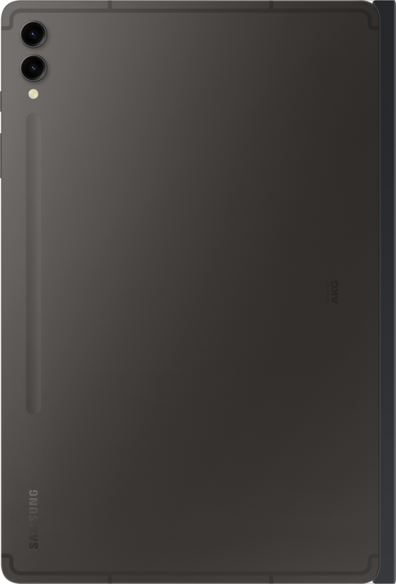 Samsung Galaxy Tab S10+/S9+ Blickschutz