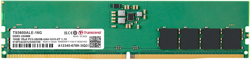 Mémoire DDR5 16 Go Transcend 5 600 MHz