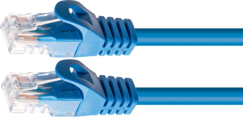 Cavo patch U/UTP RJ-45 Cat6 3 m blu