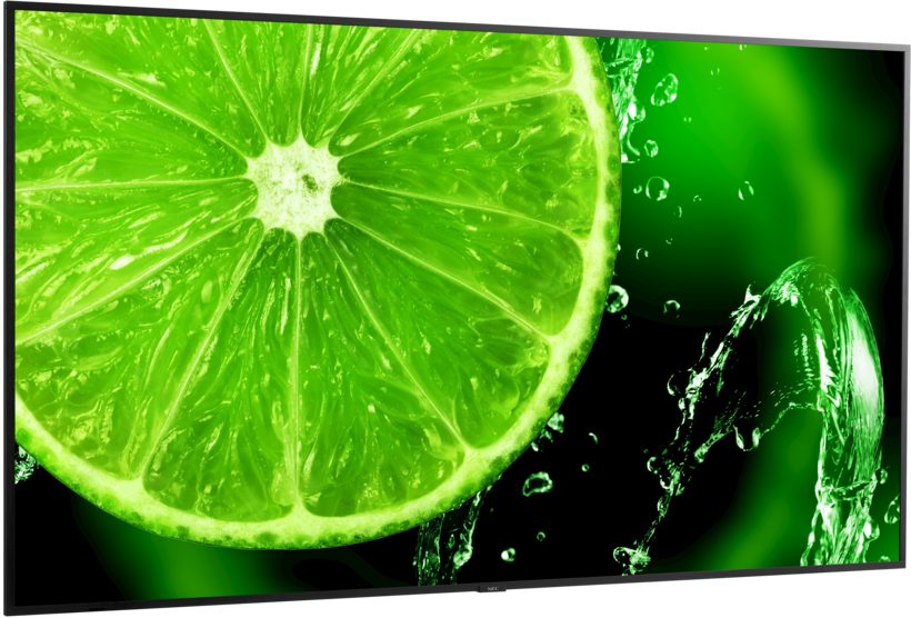 Pantalla NEC MultiSync E868