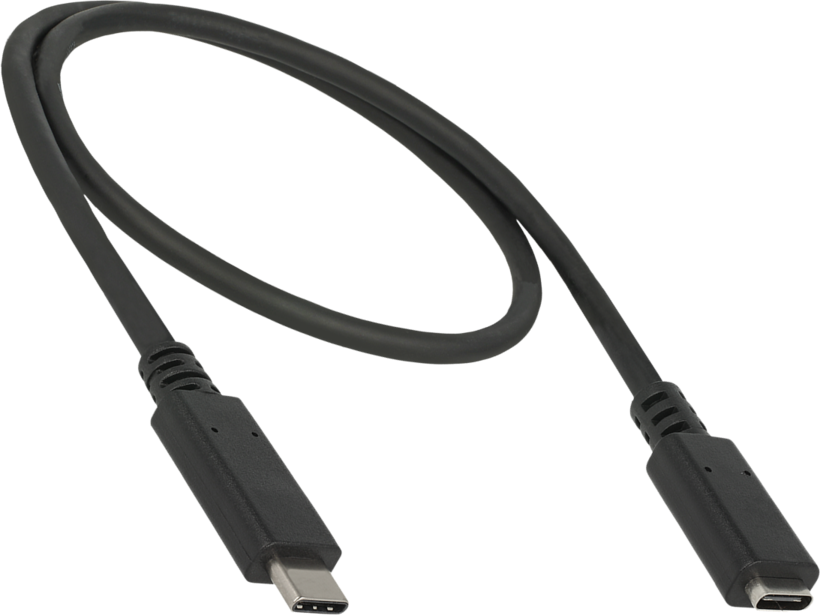 Delock USB-C Extension 0.5m