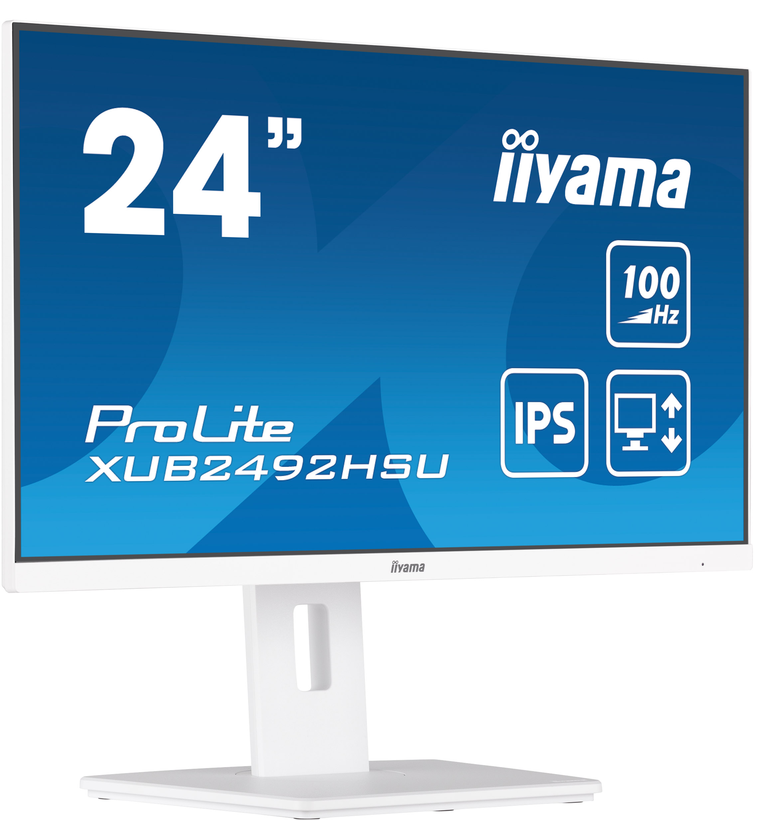 Monitor iiyama ProLite XUB2492HSU-W6
