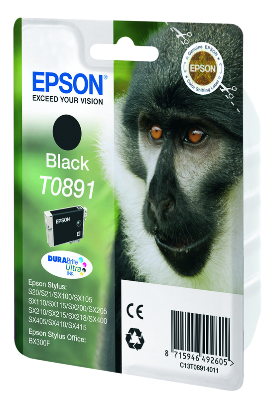 Epson T0891 Ink Black