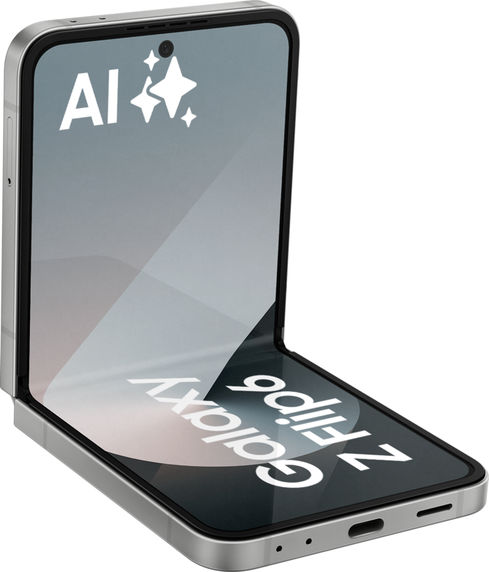 Samsung Galaxy Z Flip6 256 GB silver
