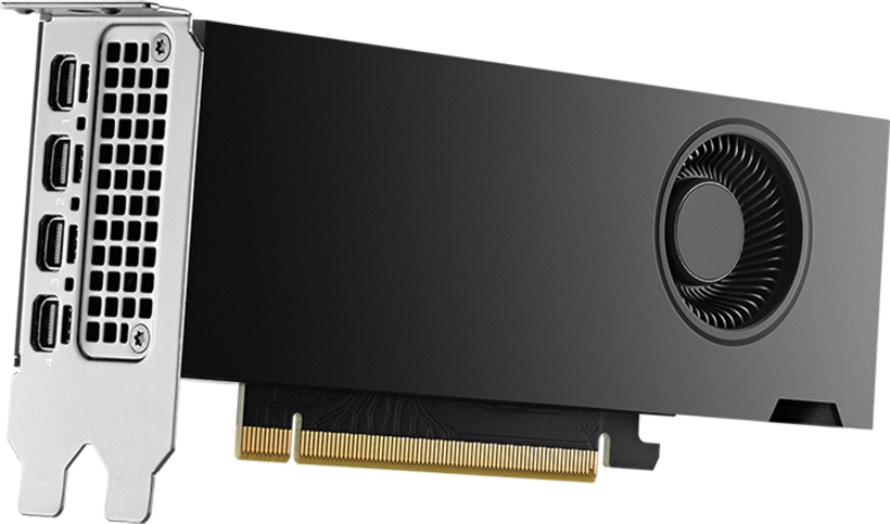 PNY NVIDIA RTX 2000 ADA Graphics Card