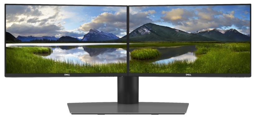 Dell Professional P2319H Monitor