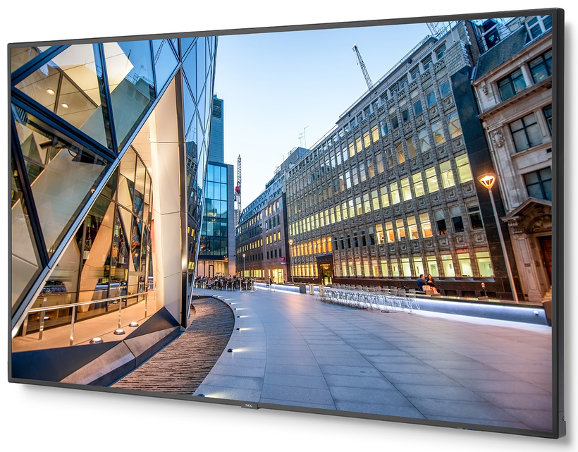 Pantalla NEC MultiSync C981Q