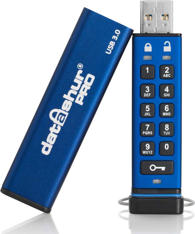 iStorage datAshur Pro 256 GB USB Stick