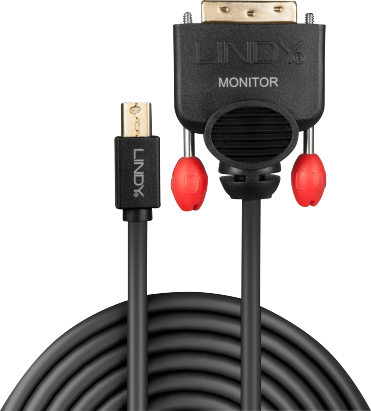 LINDY Mini DP - DVI-D Cable 2m