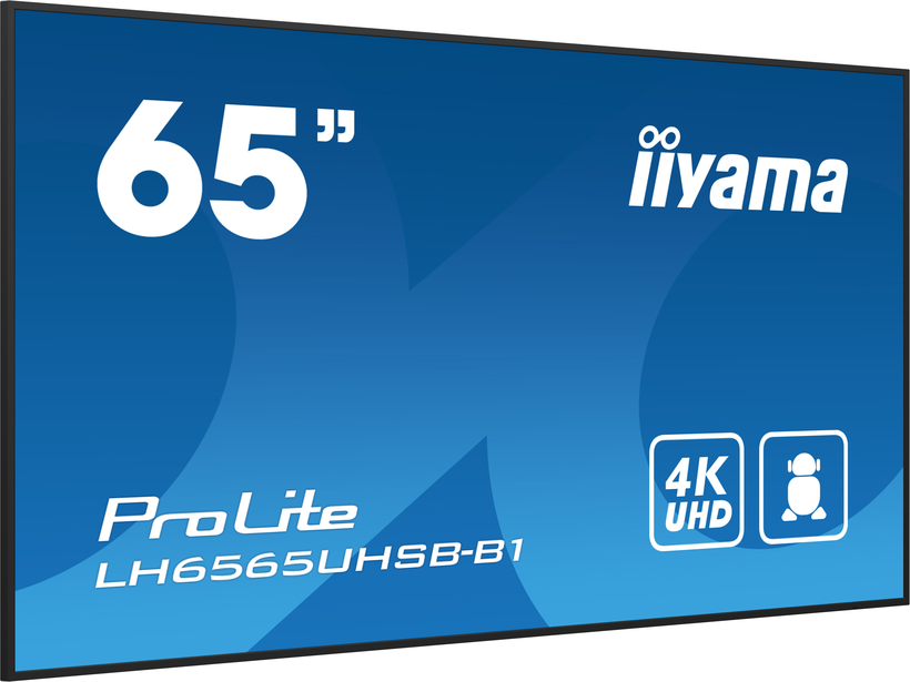 Écran iiyama ProLite LH6565UHSB-B1