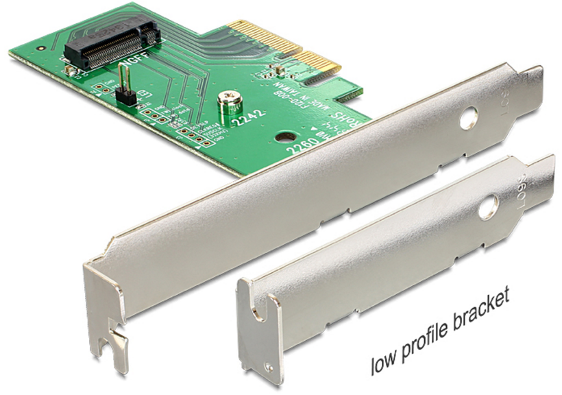 Delock M.2 NGFF PCIe Interface