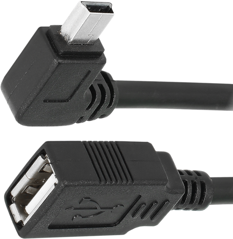 Delock USB-A - Mini-B Adapter 0.16m