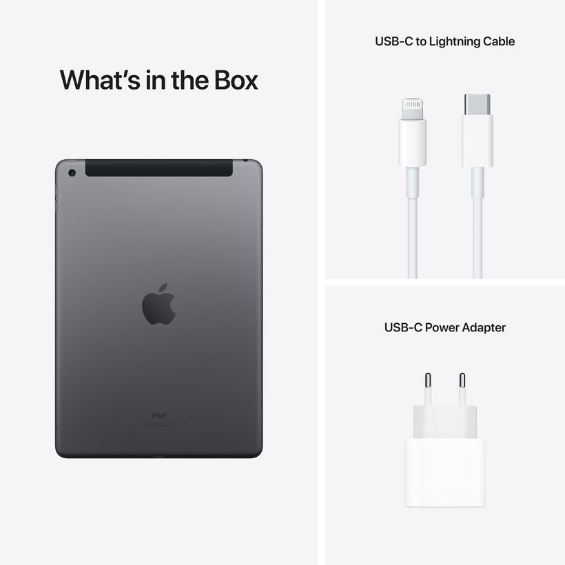 Apple iPad 10.2 9.Gen LTE 64 GB grau