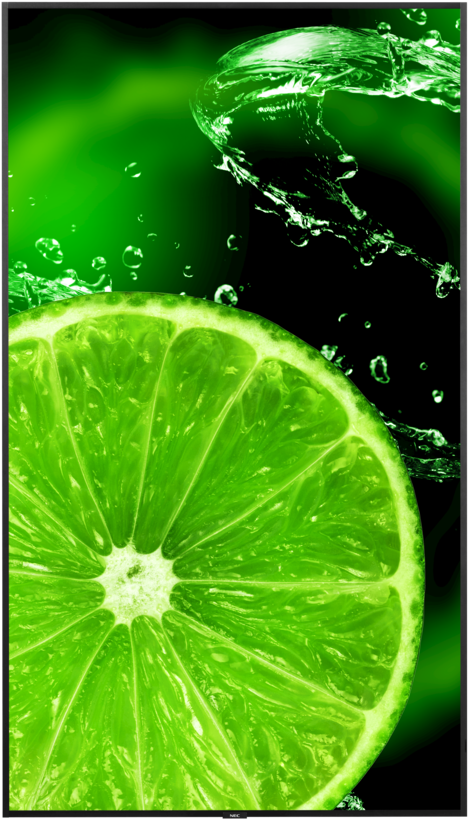 Pantalla NEC MultiSync E868
