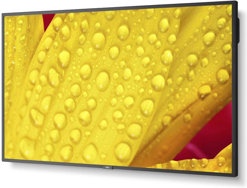 Sharp/NEC ME431 Display