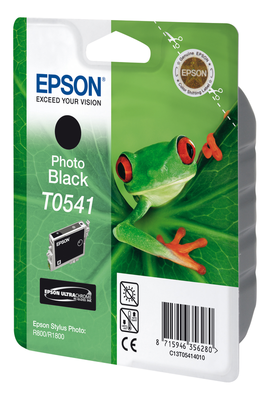 Encre Epson T0541, noir photo
