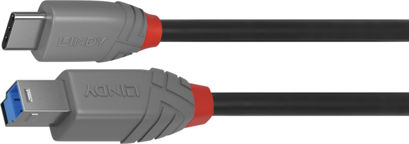 LINDY USB-C to USB-B Cable 1m