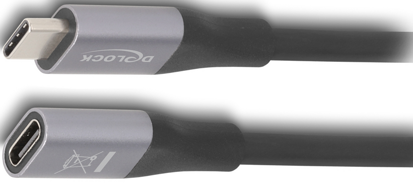 Delock USB-C Extension 1m 240W