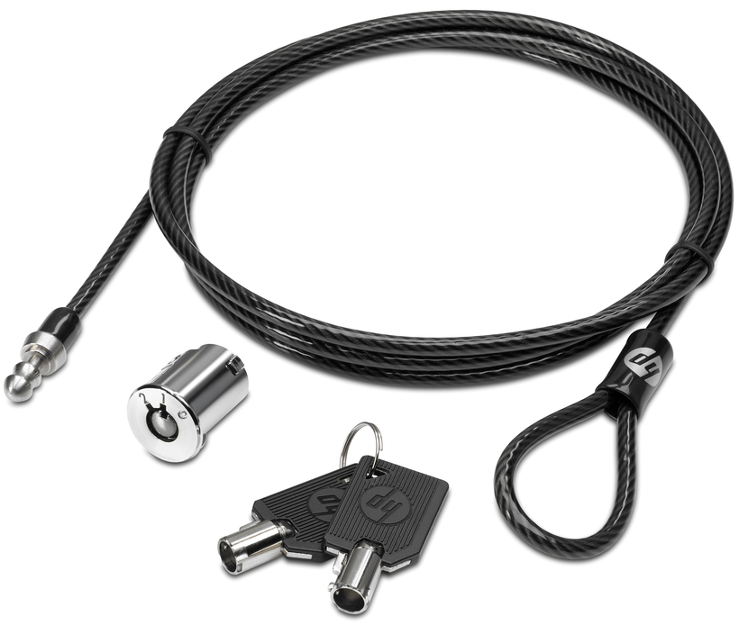HP Docking Station Cable Lock