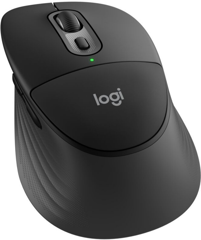 Logitech M850 L graphite Maus
