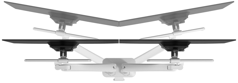 Dataflex Viewprime + Dual Desk Mount