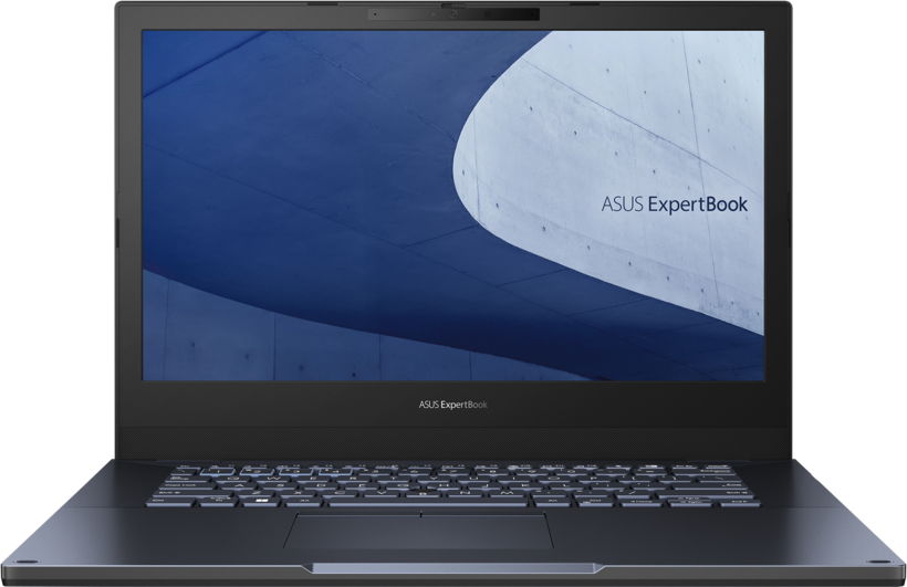 Asus ExpertBook L2402CYA R5 8/256 GB