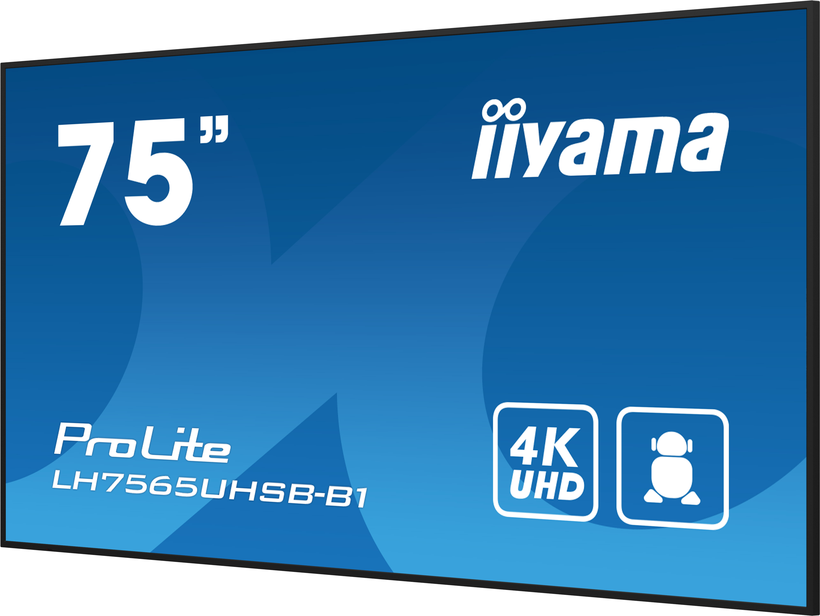 iiyama ProLite LH7565UHSB-B1 Display