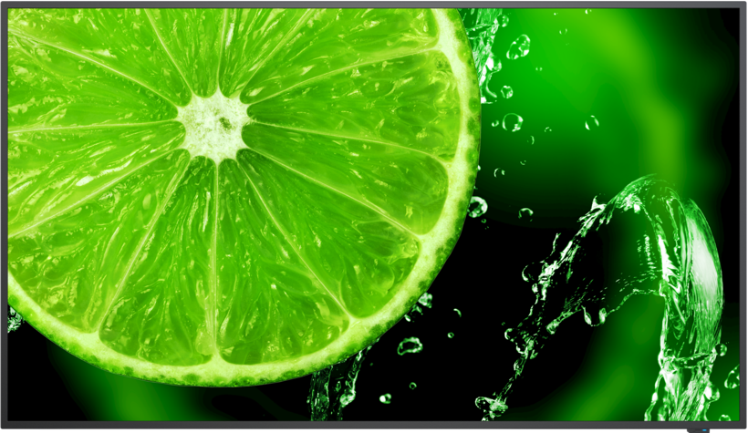 Pantalla NEC MultiSync E658