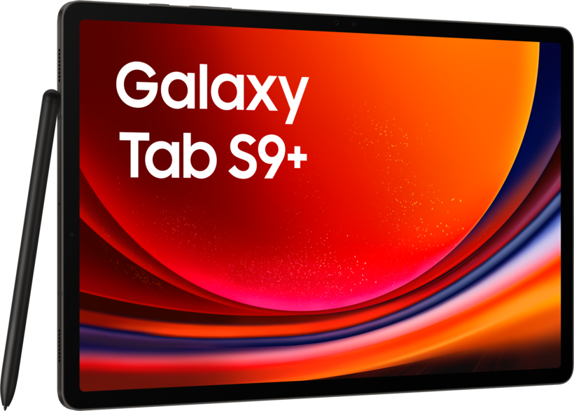 Samsung Galaxy Tab S9+ 512 Go, graphite