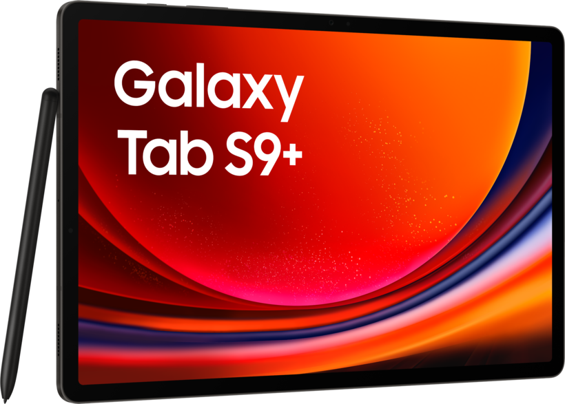 Samsung Galaxy Tab S9+ 256 GO graphite