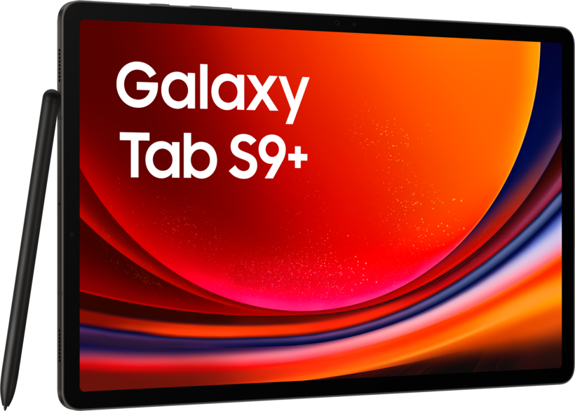 Samsung Galaxy Tab S9+ 256 GB graphite
