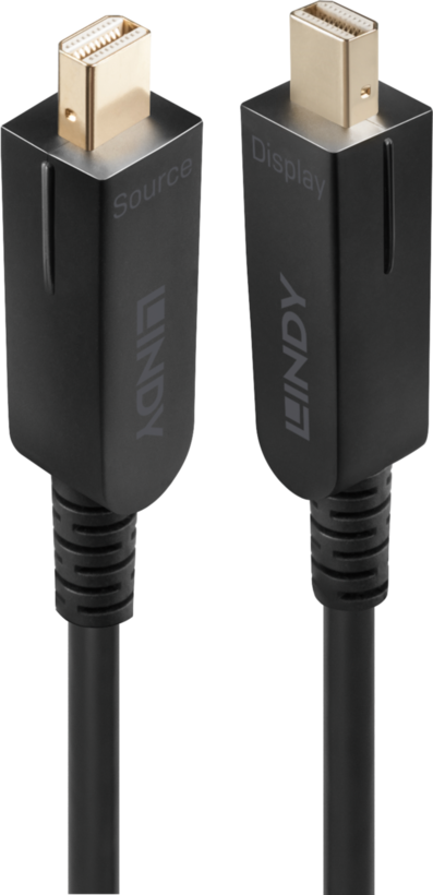 LINDY Mini-DP/DP Hybrid Kabel 20 m