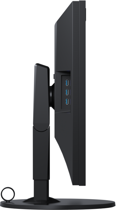 Écran EIZO ColorEdge CG319X