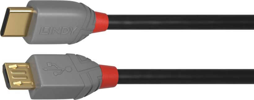 Cabo LINDY USB-C - micro-B 2 m