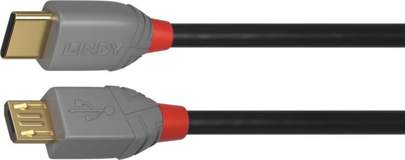 Câble LINDY USB type C - micro-B 0,5 m