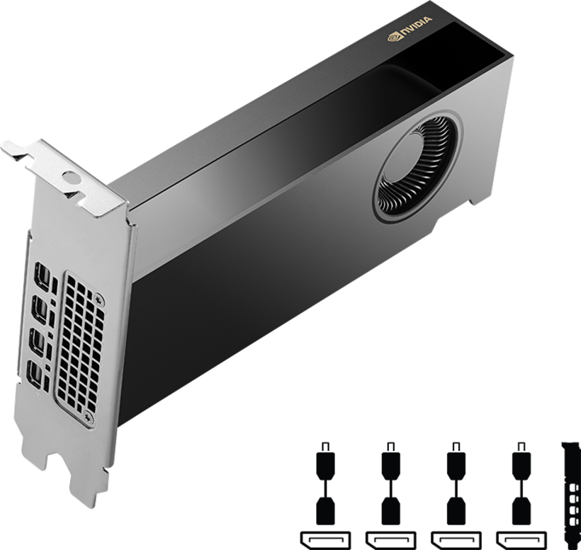 PNY NVIDIA RTX 2000 ADA Graphics Card