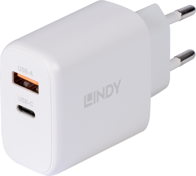 LINDY 65 W USB-C/USB-A GaN Ladeadapter