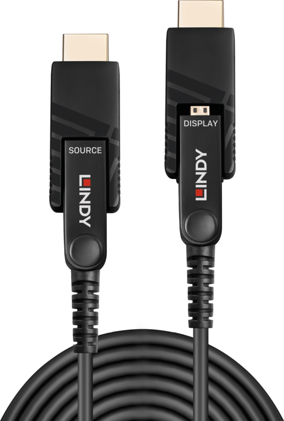 LINDY Micro-HDMI/HDMI/DVI Hybrid Kab.10m