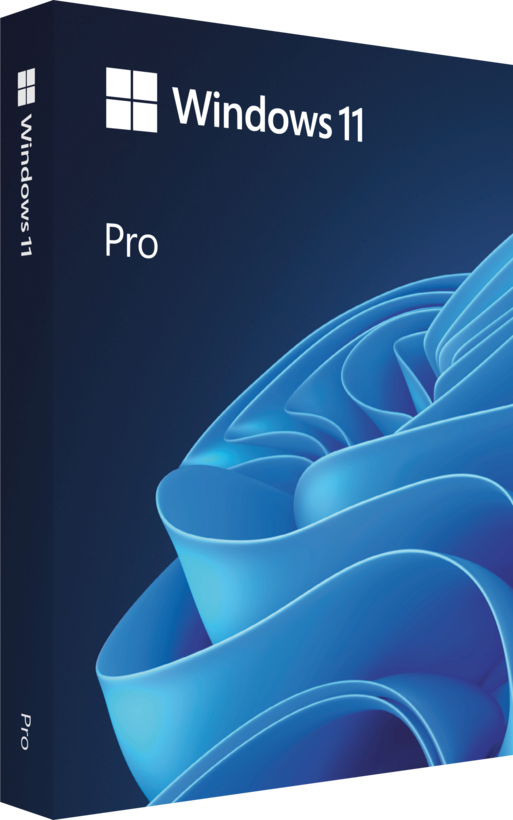 Microsoft Windows 11 Professional 1 License USB