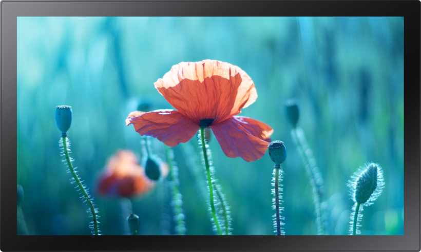 Display Samsung QB13R-TM Touch