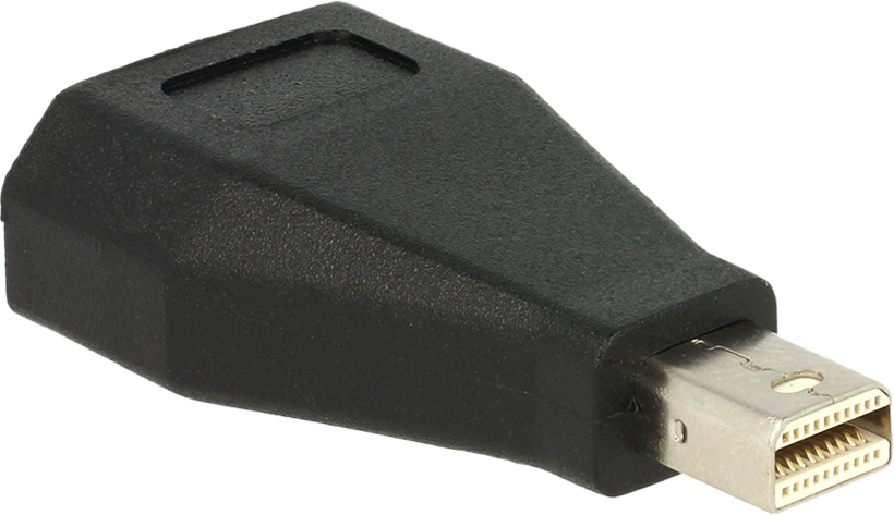 Delock Mini-DisplayPort - DP Adapter