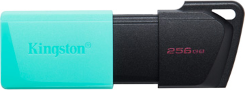 Kingston DT Exodia M 256GB USB Stick