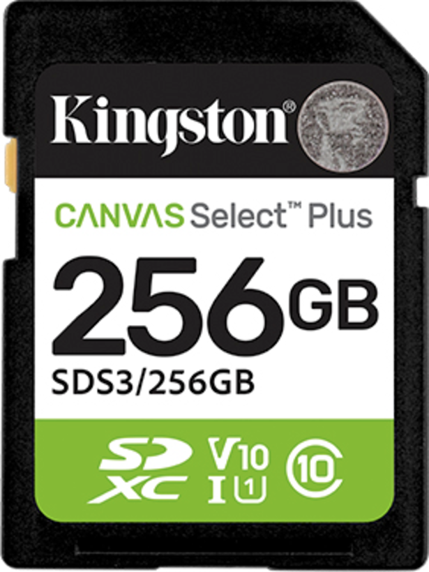 Kingston Canvas Select P SD Card 256GB