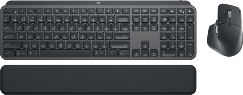 Logitech MX Tastatur und Maus Set f.B.