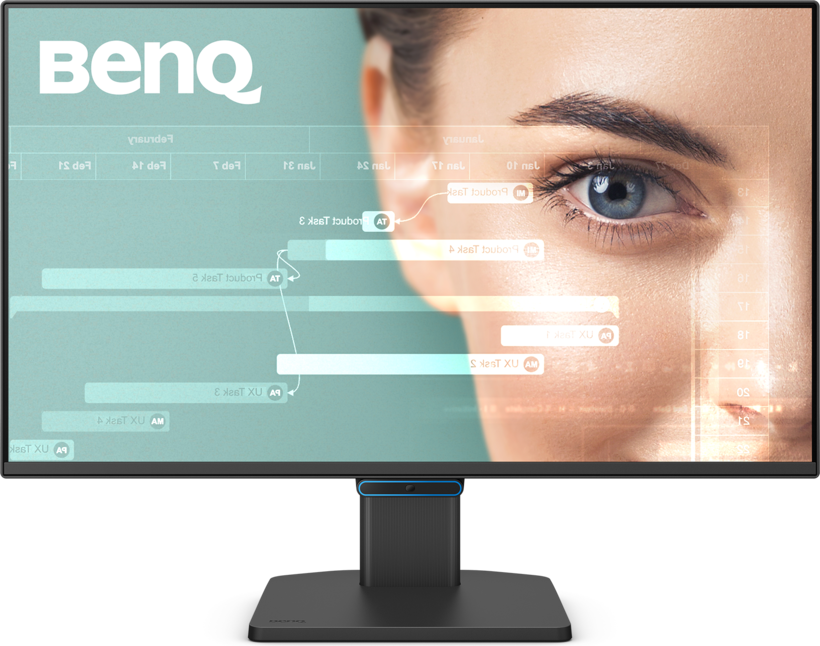 Monitor BenQ BL2490C