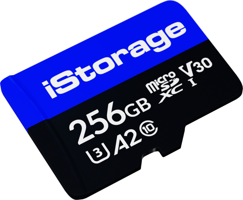 iStorage 256 GB microSDXC Card Single
