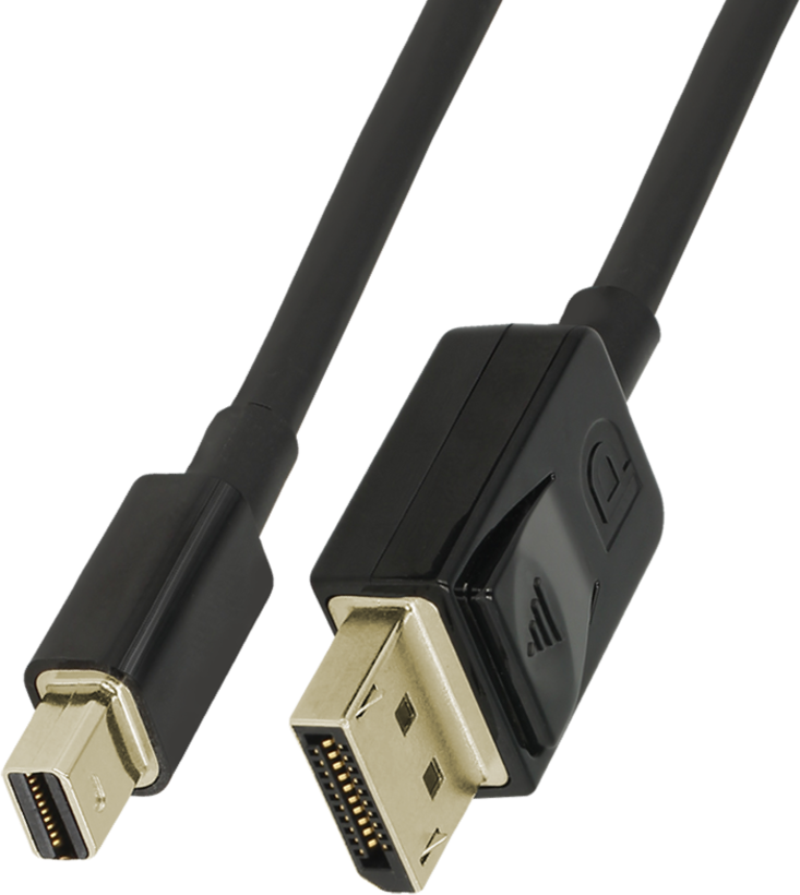 Delock Mini DisplayPort/m - DP Cable 2m