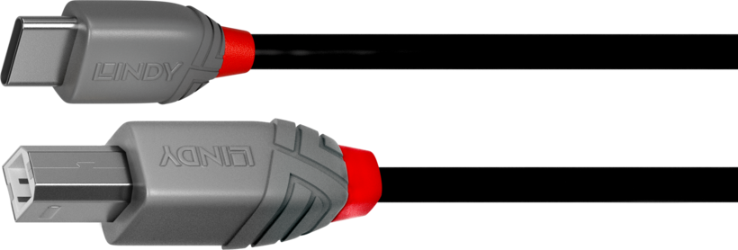 Câble LINDY USB type C - B 1 m