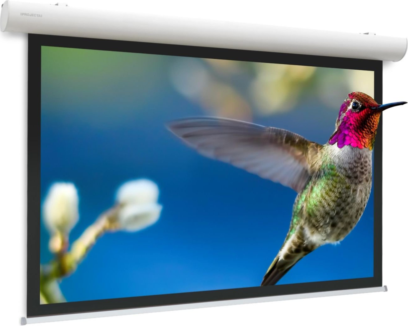 Da-Lite Elpro Concept 179 x 280 cm