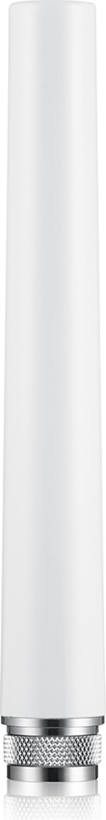 Zyxel ANT2105 Stab-Antenne (2er Pack)